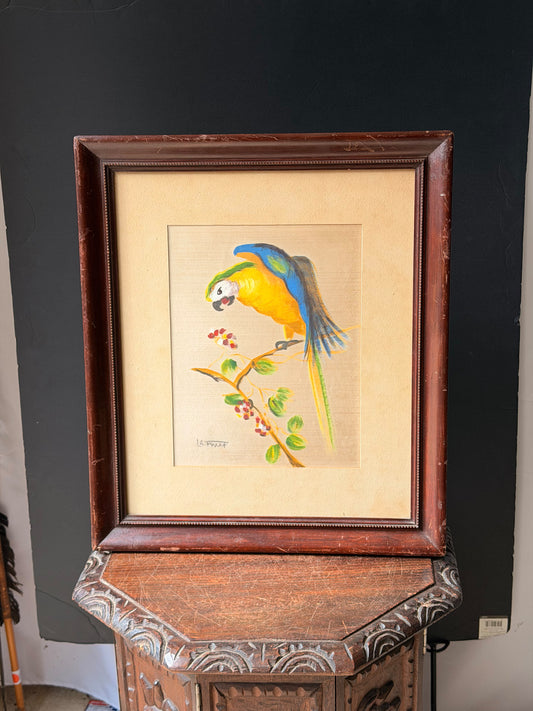 Vintage Signed Latour Painting on Silk, Blue and Gold Macaw Parrot, Framed 21x18