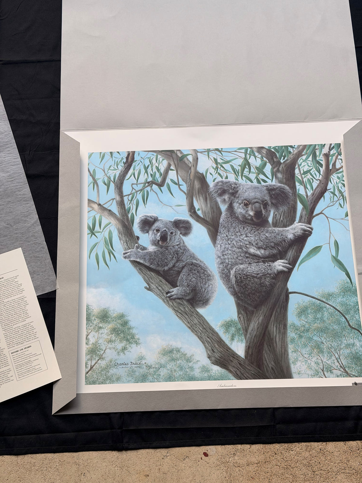 Vintage Charles Frace Signed Koala Print Ambassadors 1990 Limited Edition COA