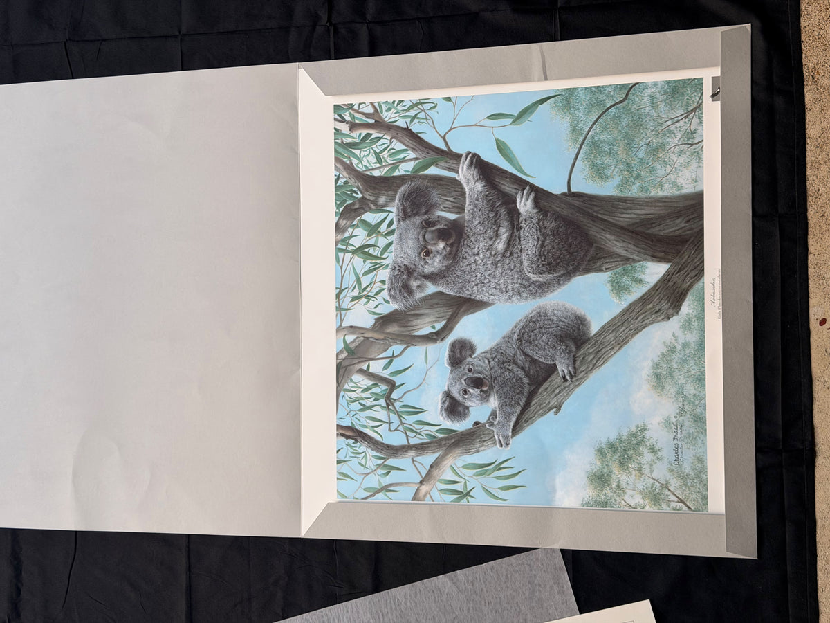 Vintage Charles Frace Signed Koala Print Ambassadors 1990 Limited Edition COA