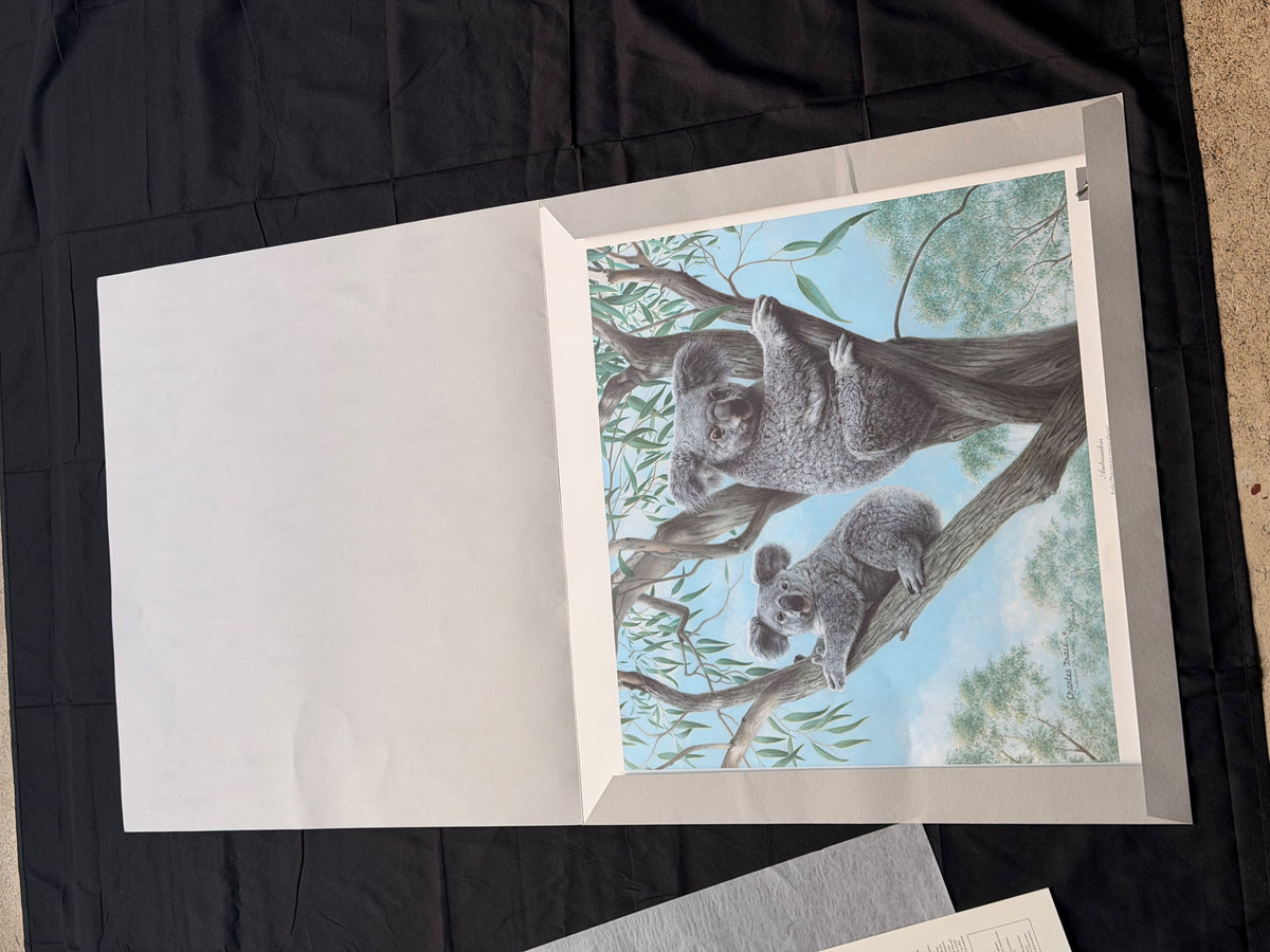 Vintage Charles Frace Signed Koala Print Ambassadors 1990 Limited Edition COA