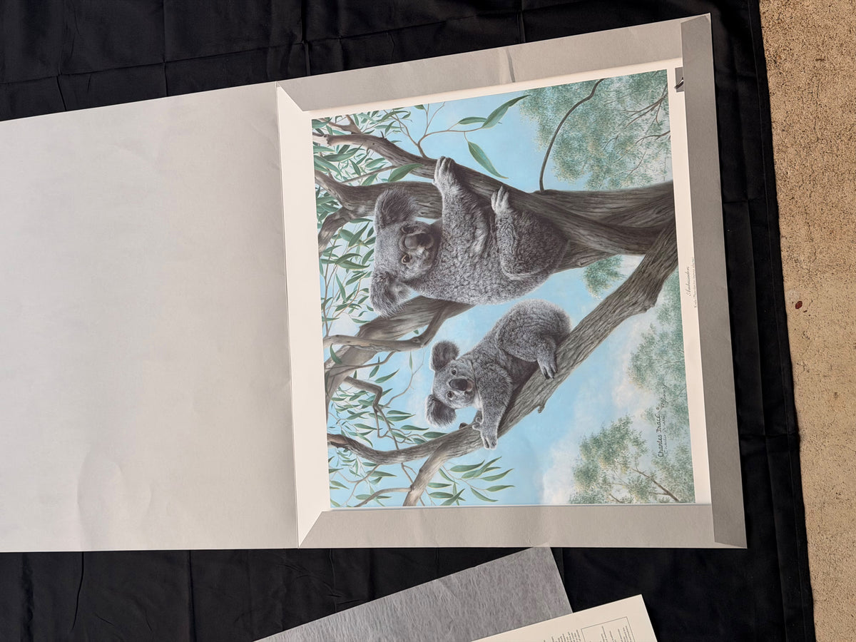 Vintage Charles Frace Signed Koala Print Ambassadors 1990 Limited Edition COA