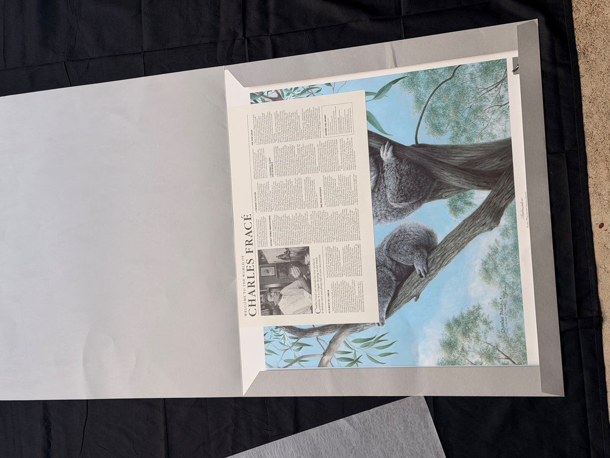 Vintage Charles Frace Signed Koala Print Ambassadors 1990 Limited Edition COA