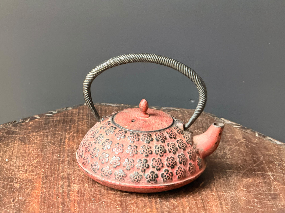 Vintage Japanese Cast Iron Tetsubin Teapot Red Plum Blossom Marked Infuser 7in