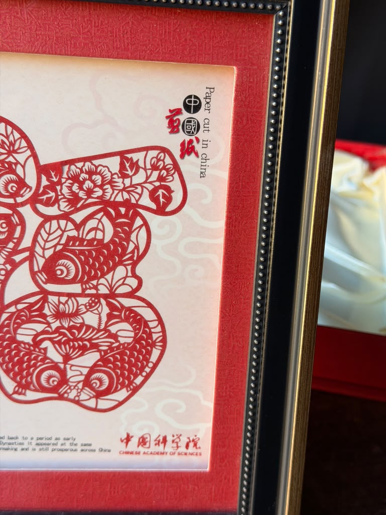 Framed Chinese Paper Cut Fu Character Carp Chinese Academy of Sciences Gift Box