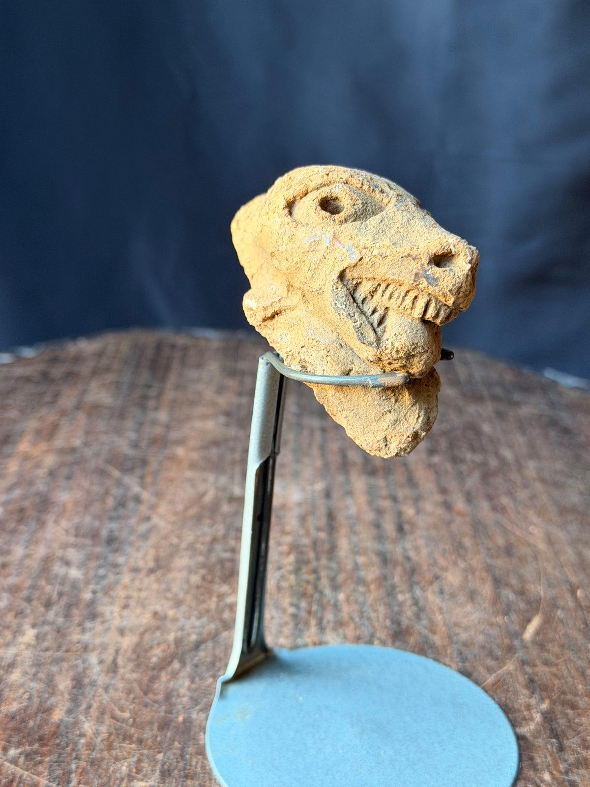 Nok Terracotta Dog Head Bared Teeth on Stand Ex Barnes 3in - Age Untested