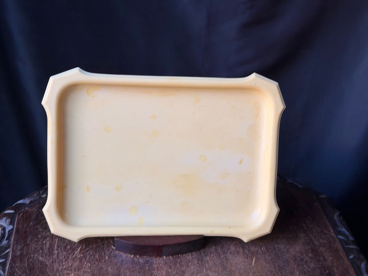 Antique Art Deco French Ivory Celluloid Vanity Dresser Tray Ivory Cathedral 11x8