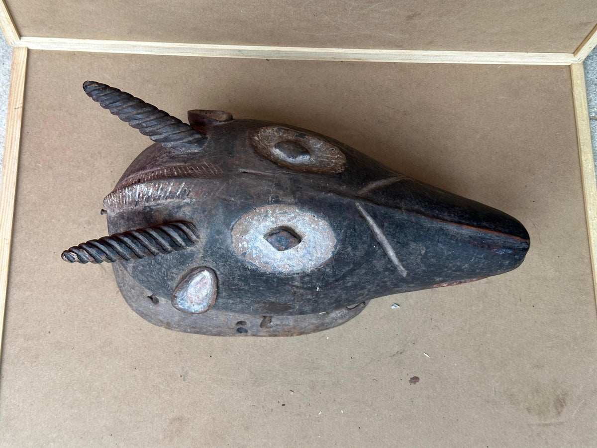 Vintage Igala Ofogoli Antelope Mask Zoomorphic Headpiece Carved Wood 15"