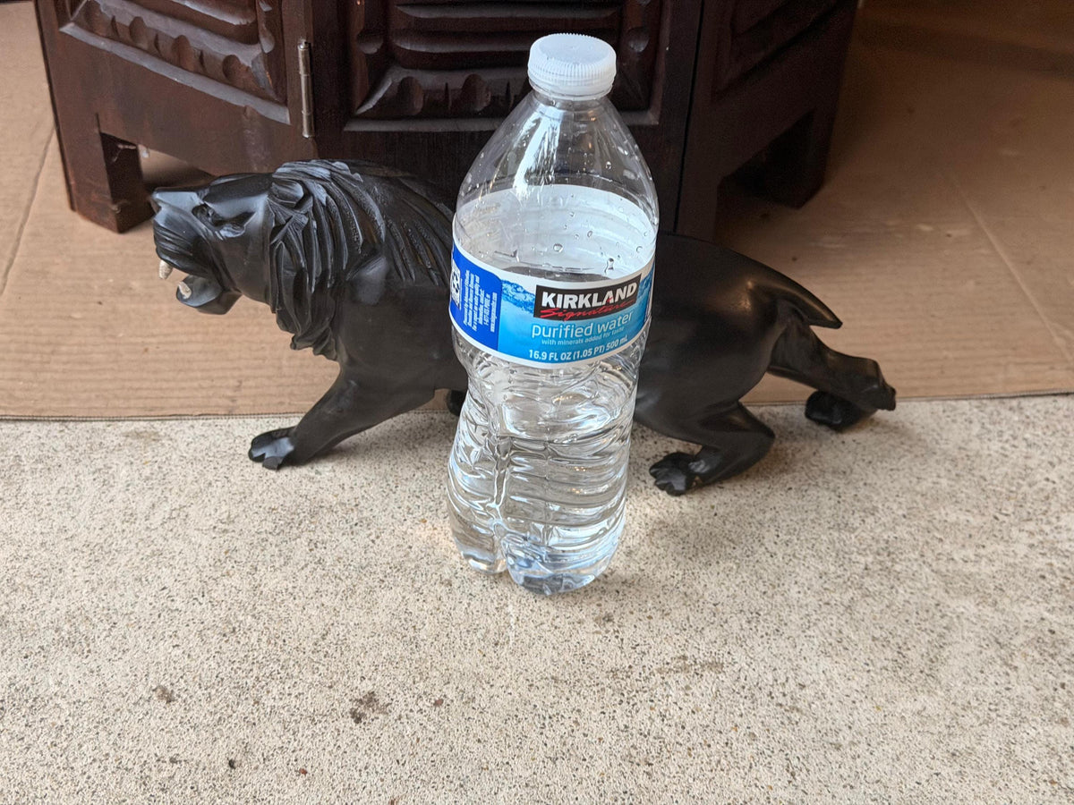 Hand Carved Hardwood Lion Statue Prowling Roaring African Folk Art Carving 12"