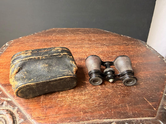 Antique Lemaire Paris Opera Glasses Vintage French Field Binoculars Case